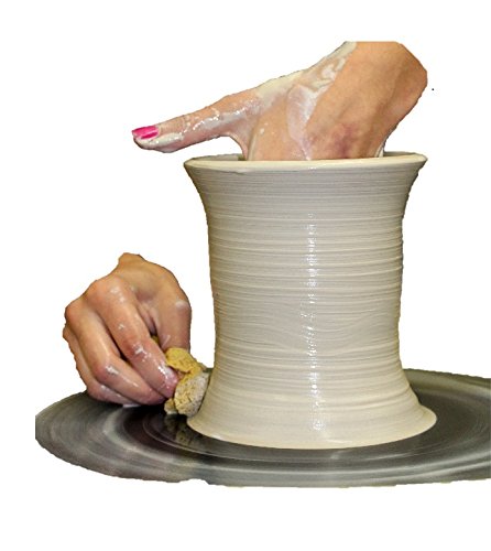Pottery Clay - 50 lbs of Mid-High Fire White Cone 6-10 Dover - Rocky Mountain Clay