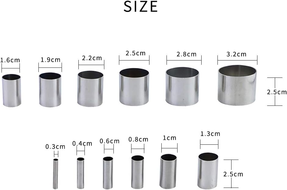 Fireboomoon 12 PCS Hole Hollow Punch Cutter Set with Storage Case,Stainless Steel Round Circle Ring Clay Cutters Ceramics Dotting Baking Indentation Mold Tools for Polymer Clay Pottery Handmade Craft