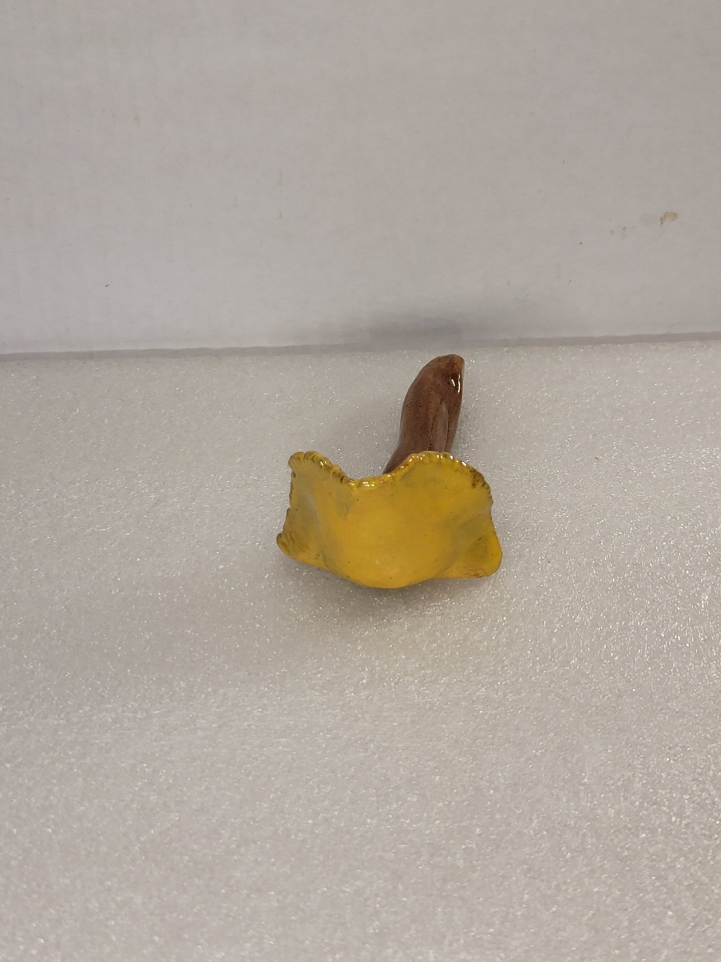Mushroom pipes