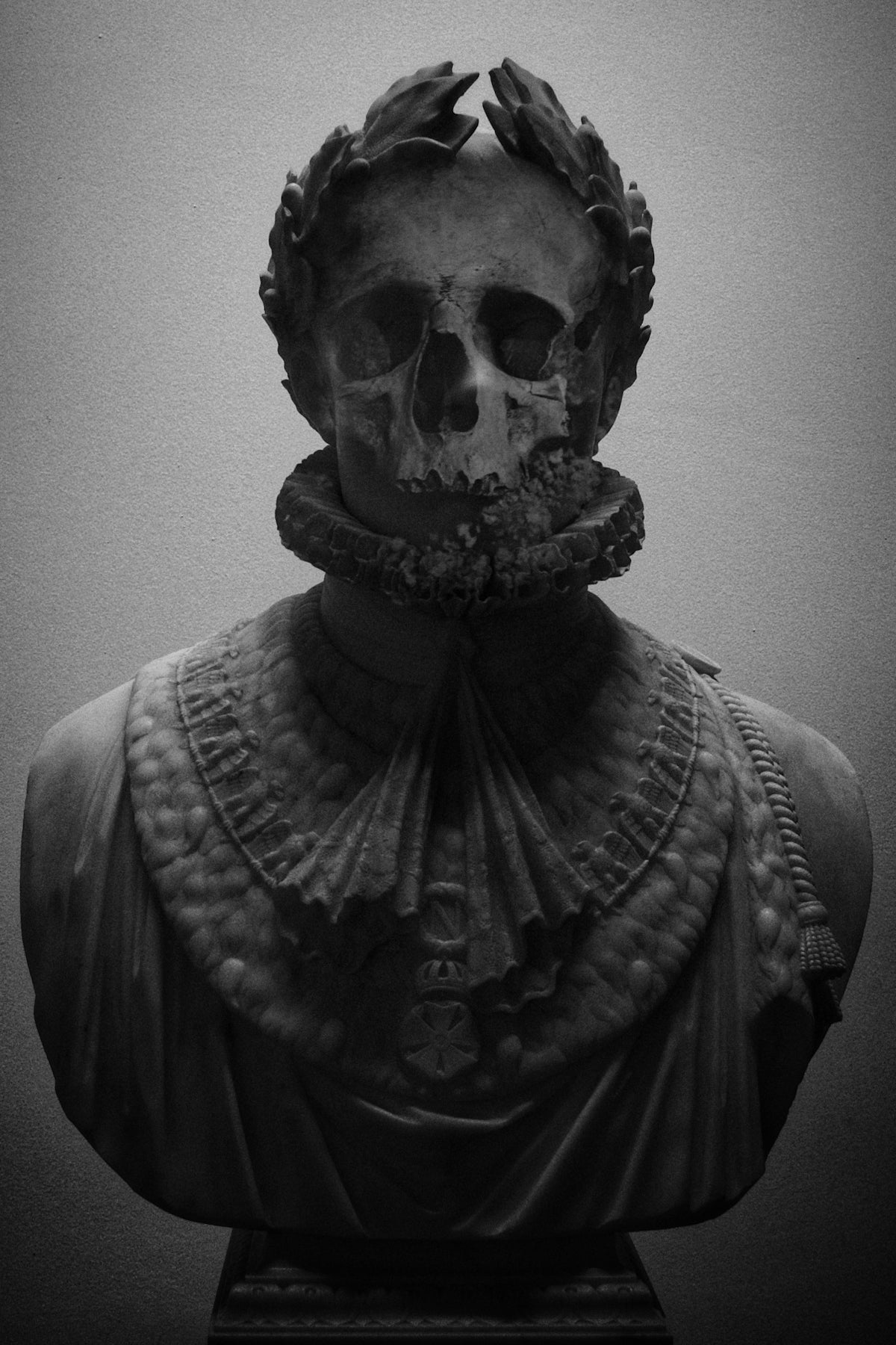 human skeleton headbust