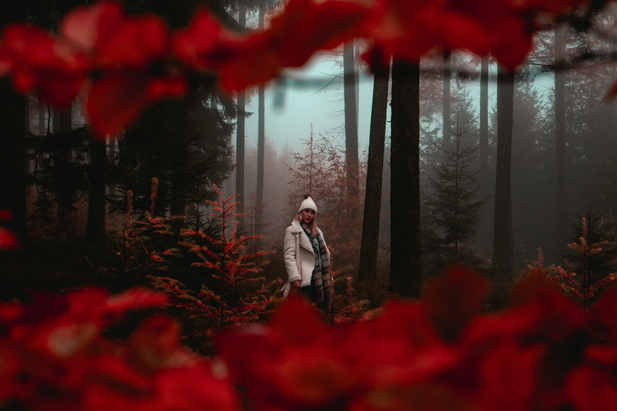a person standing in the middle of a forest