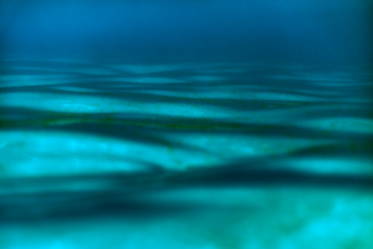 a blurry photo of water with a green background