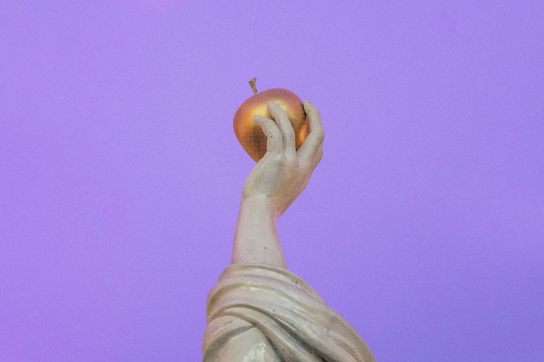 person holding orange fruit during daytime
