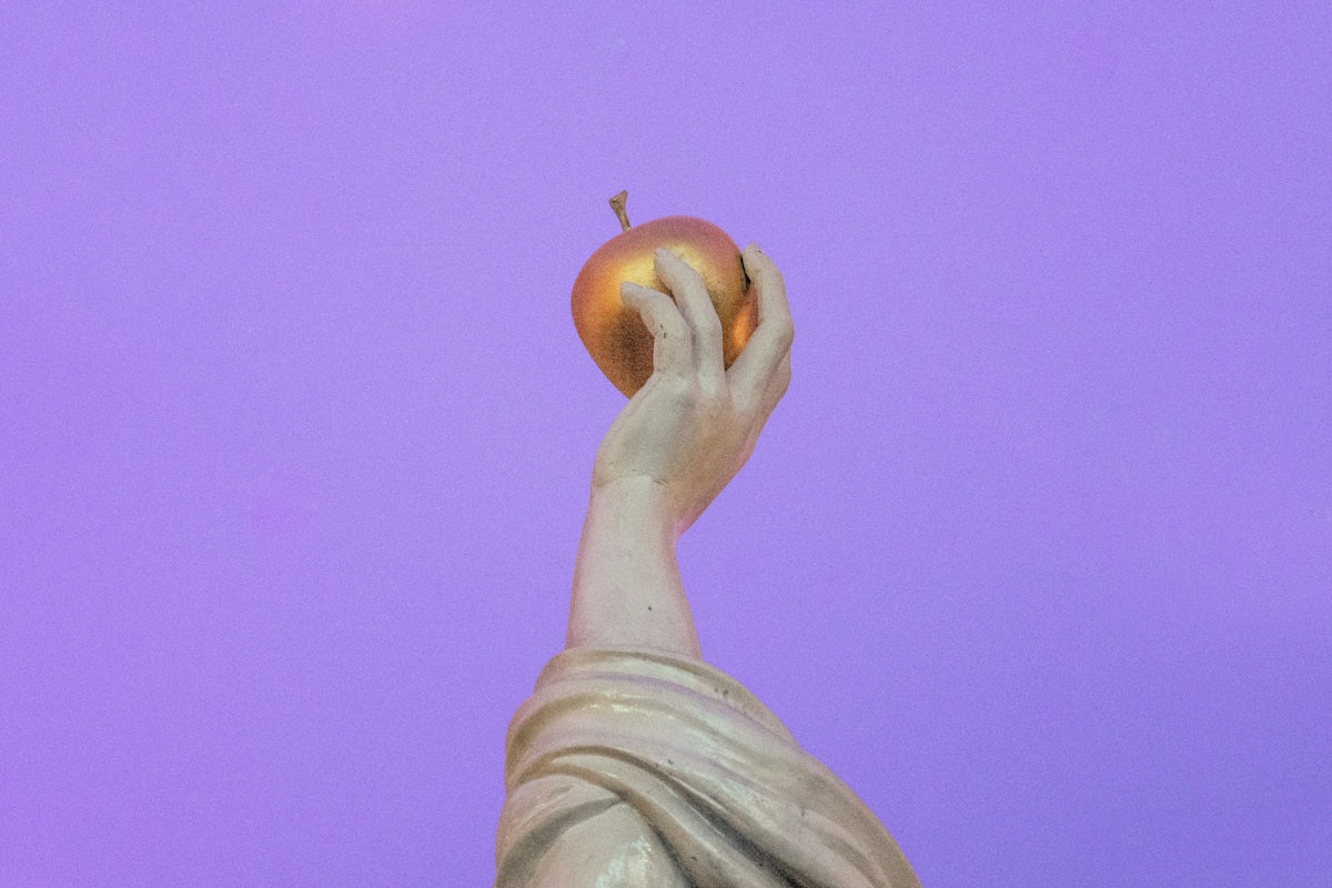 person holding orange fruit during daytime