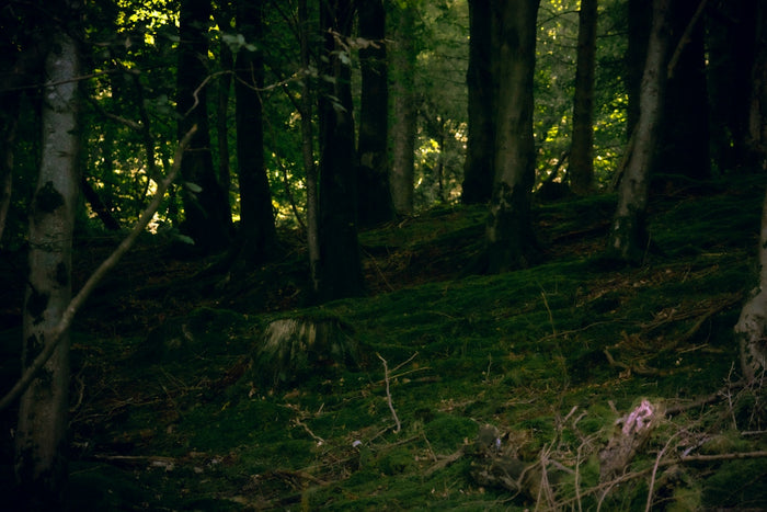 Essential Steps to Integrate Fae Inspirations Into Your Creative Work