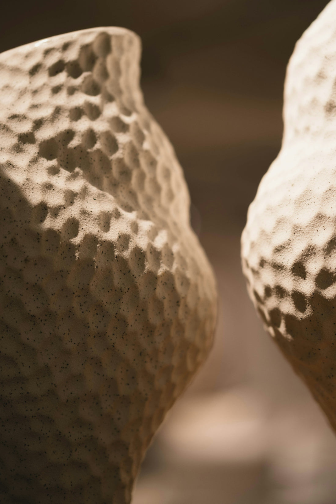 Two textured sculptures stand side by side.