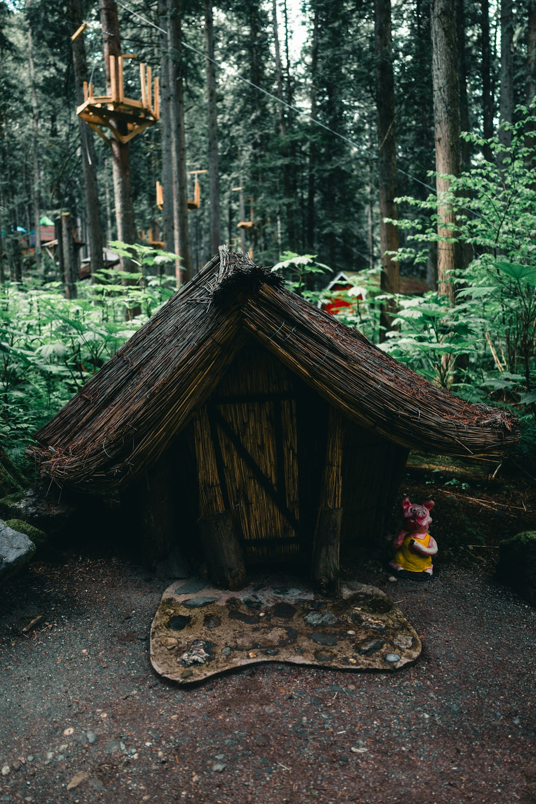 A tiny hut stands deep within the forest.