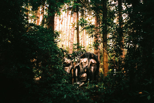 A mysterious sculpture hidden deep within a lush forest.