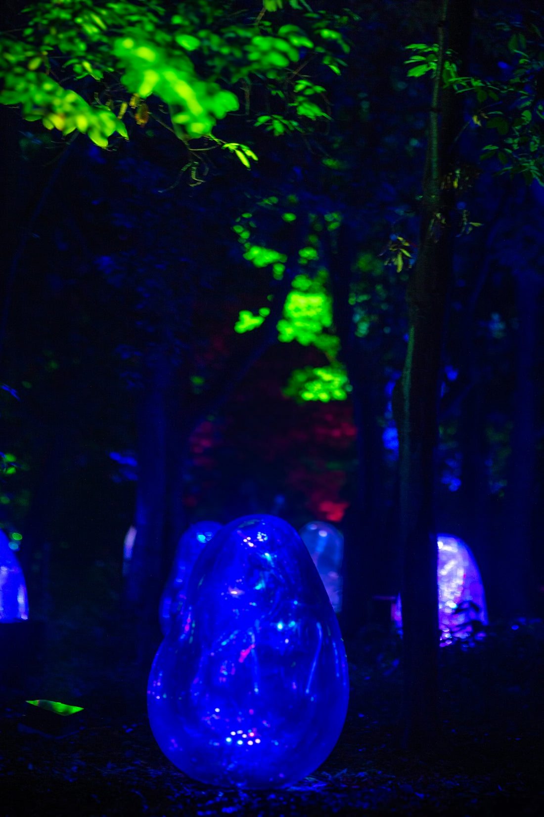 Blue glowing orb and colorful lights in a dark forest.