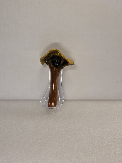 Mushroom pipes