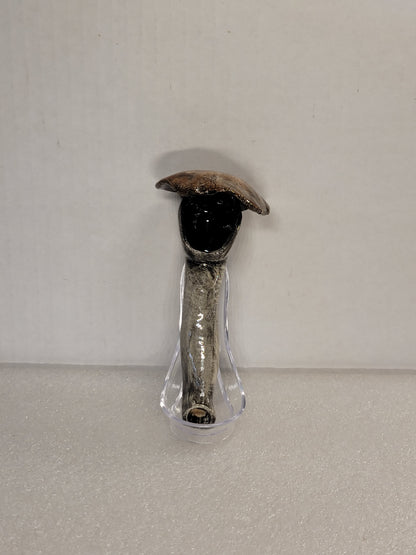 Mushroom pipes
